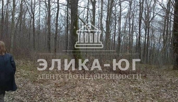 
  Продается земельный участок, 18 соток, поселок городского типа Новомихайловский
. Фото 3.