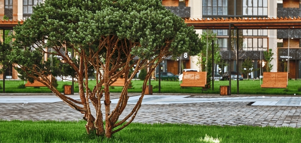 
  Продается 2-комн. квартира 65.93 м², в ЖК Образцово, дом 10. Фото 8.
