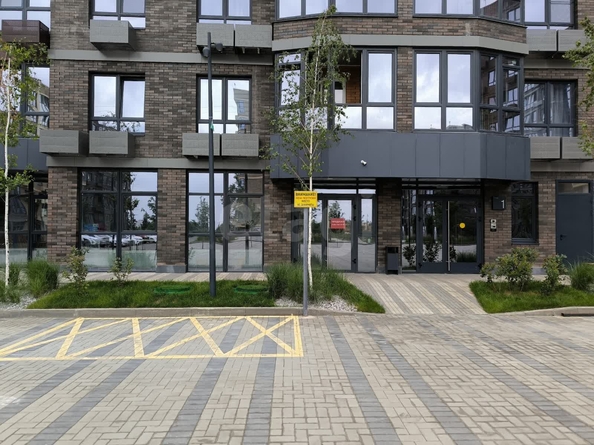 
  Сдается универсальное помещение 33.3 м². Фото 1.