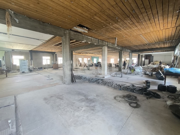 
  Сдается универсальное помещение 600 м². Фото 17.