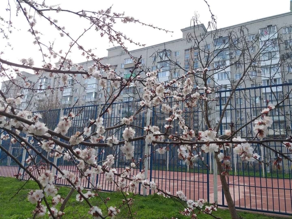 
  Продается 2-комн. квартира 49.1 м². Фото 13.