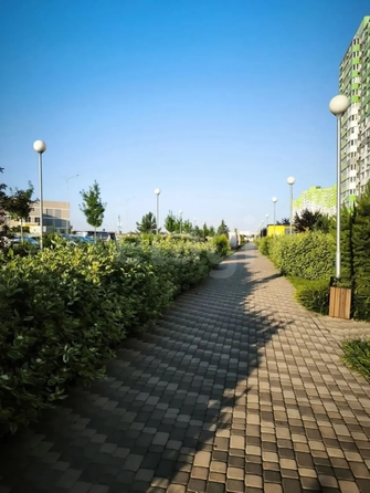 
  Сдается 1-комн. квартира 33 м². Фото 14.