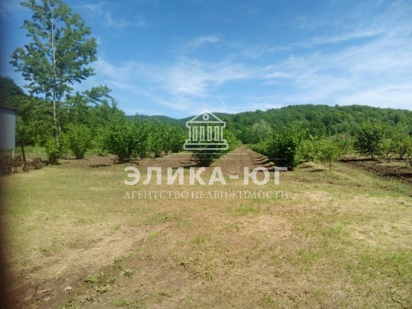 
  Продается земельный участок 220 соток. Фото 18.