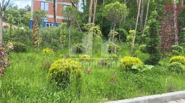 
  Продается земельный участок, 30 соток, Кисловодск
. Фото 19.