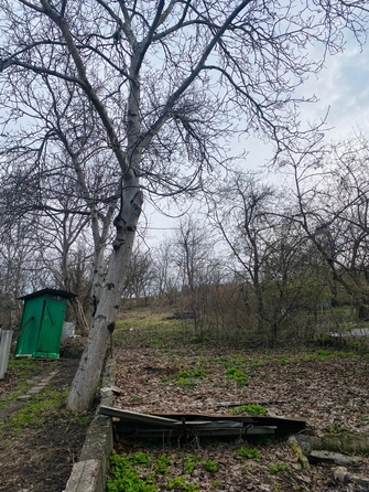 
  Сдается дом, 50 м², Садовая ул, д. 25
. Фото 4.