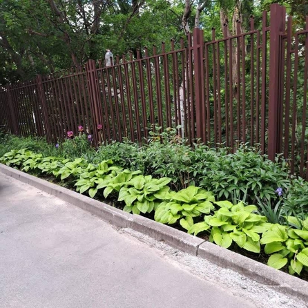 
  Сдается 1-комн. квартира 46.6 м². Фото 6.