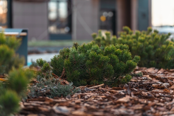 
  Продается 1-комн. квартира 36.25 м², в ЖК Флора, литера 2.2. Фото 23.