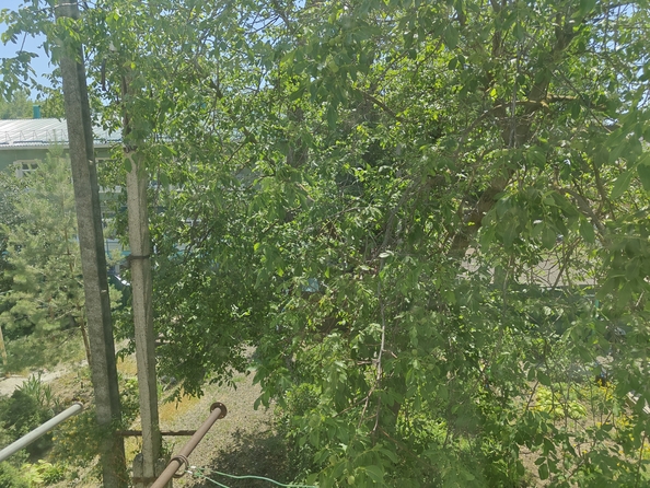 
  Продается 2-комн. квартира 40.8 м². Фото 13.
