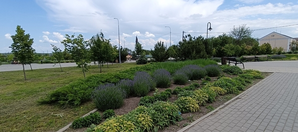 
  Продается земельный участок 6.91 соток. Фото 1.