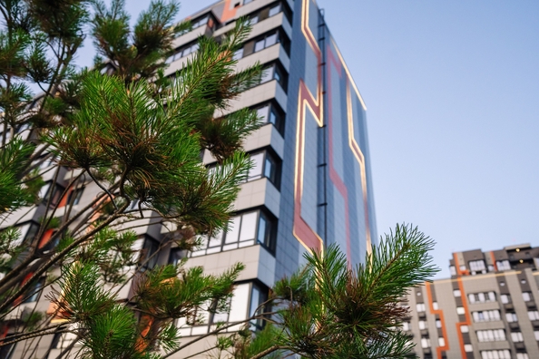 
  Продается студия 23.45 м². Фото 55.