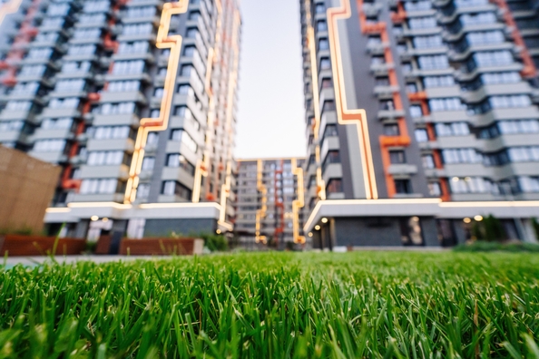 
  Продается студия 26.47 м², в ЖК Западные Аллеи, литера 6.3. Фото 32.