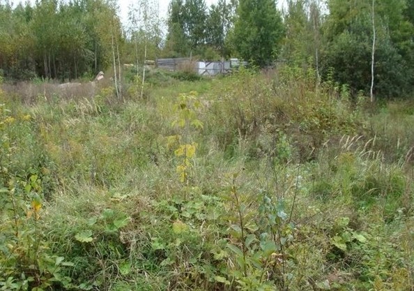 
  Продам  участок ИЖС, 6 соток, Батайск

. Фото 2.