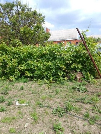 
  Продам  участок ИЖС, 4 соток, Батайск

. Фото 1.