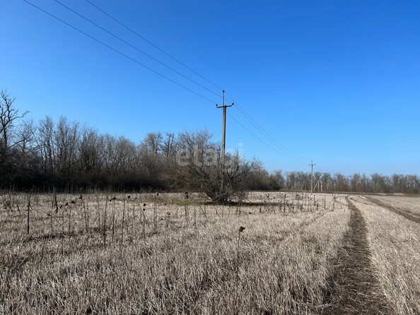 
  Продам  участок ИЖС, 6 соток, Щепкин

. Фото 3.