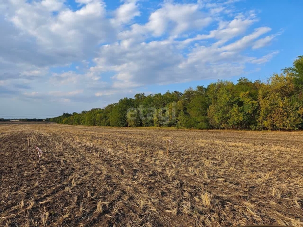 
  Продам  участок ИЖС, 5 соток, Красный

. Фото 2.