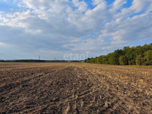 
  Продам  участок ИЖС, 6 соток, Красный

. Фото 8.