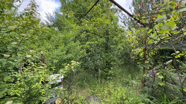 
  Продам  дачный участок, 5.16 соток, Ростов-на-Дону

. Фото 3.