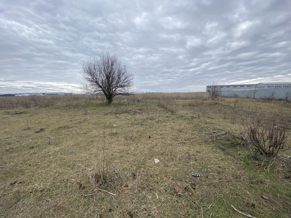 
  Продам  коммерческую землю, 100 соток, Маяковского

. Фото 1.