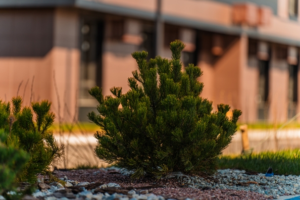 
  Продается 2-комн. квартира 52.55 м², в ЖК Флора, литера 1.2. Фото 28.