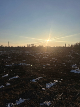 
  Продается земельный участок, 6 соток, село Кулешовка
. Фото 5.
