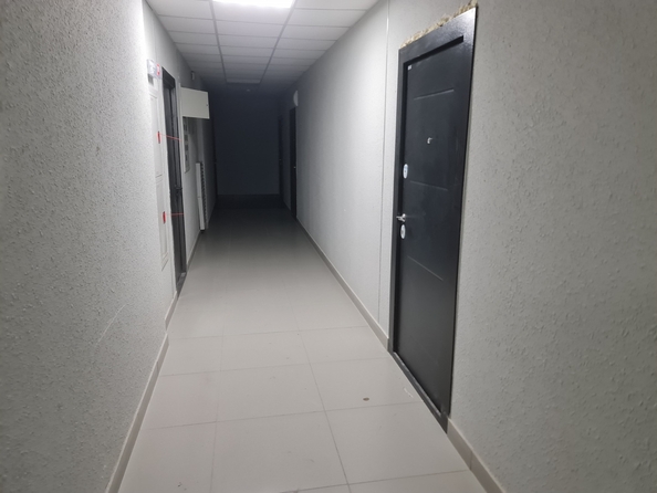 
  Продается студия, 29 м², Ленина пр-кт, д. 46
. Фото 4.
