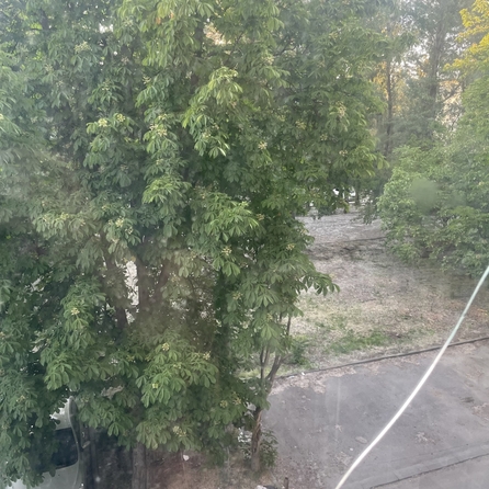 
  Продается 3-комн. квартира, 62 м², 40-летия Победы пр-кт, д. 63/10
. Фото 16.