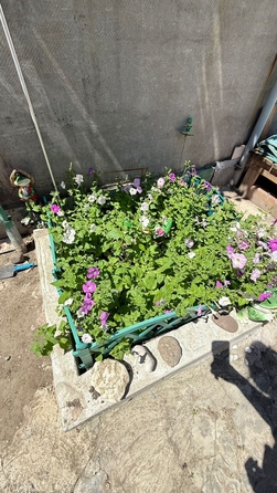 
  Продается дом, 52 м², Ростов-на-Дону
. Фото 6.