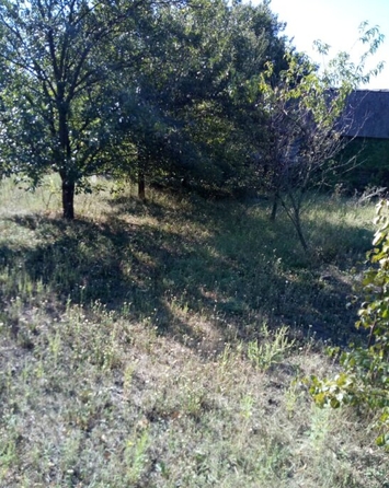 
  Продается дом, 38 м², село Орловка
. Фото 1.