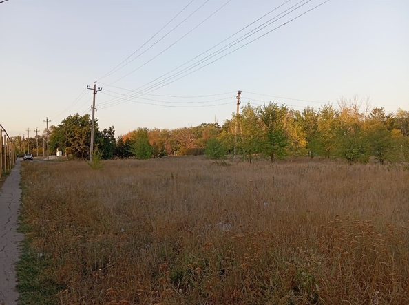 
  Продается земельный участок, 17 соток, село Кулешовка
. Фото 4.