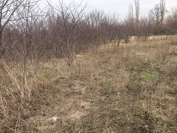 
  Продается земельный участок, 8.25 соток, поселок Октябрьский
. Фото 4.
