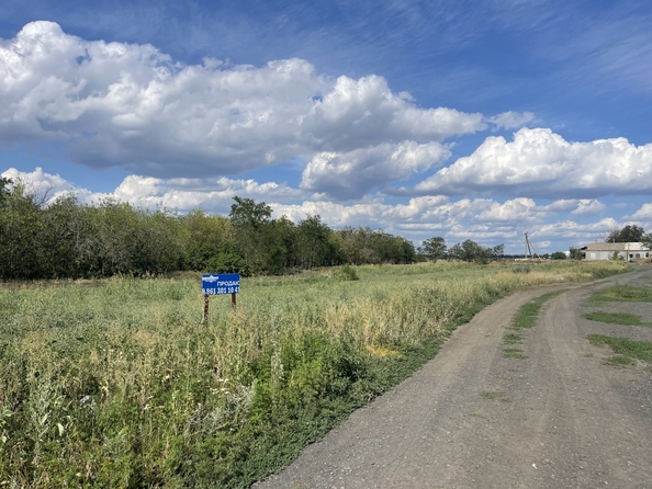 
  Продается земельный участок, 35 соток, поселок Новоперсиановка
. Фото 6.
