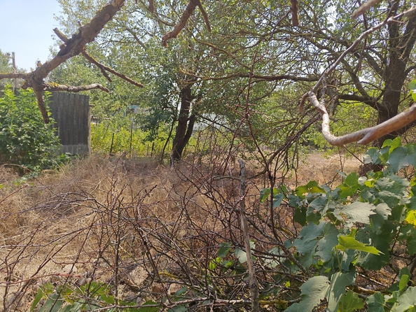 
  Продается земельный участок, 14 соток, село Синявское
. Фото 16.