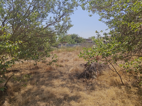 
  Продается земельный участок, 14 соток, село Синявское
. Фото 18.