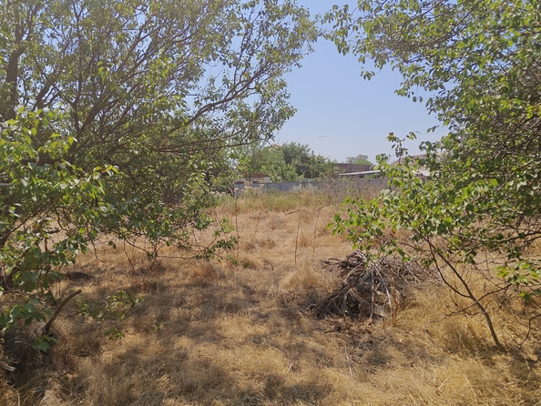 
  Продается земельный участок, 14 соток, село Синявское
. Фото 22.