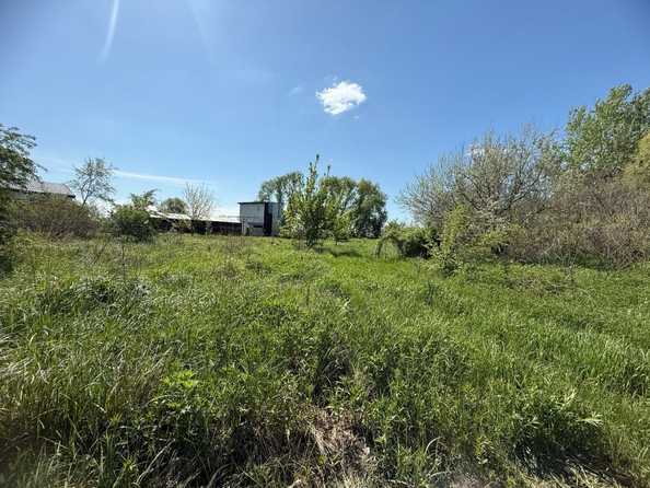 
  Продается земельный участок, 7.5 соток, хутор Рогожкино
. Фото 3.