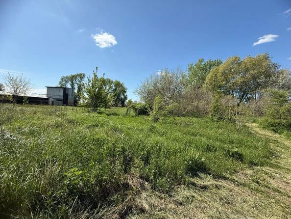 
  Продается земельный участок, 7.5 соток, хутор Рогожкино
. Фото 9.