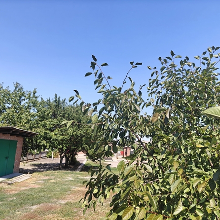 
  Продается земельный участок, 13.26 соток, хутор Усть-Койсуг
. Фото 4.