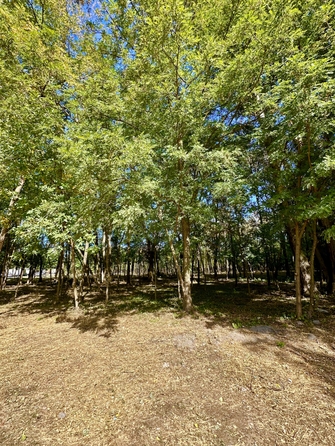 
  Продается 1-комн. квартира, 39.7 м², 40-летия Победы пр-кт, д. 63/17
. Фото 23.