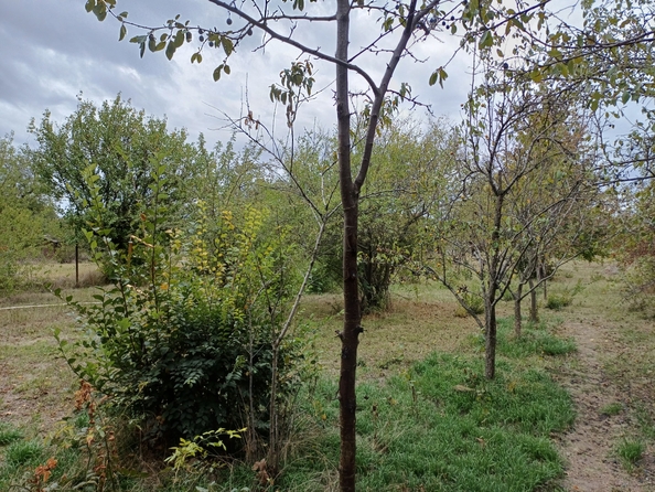 
  Продается дом, 130 м², хутор Махин
. Фото 19.