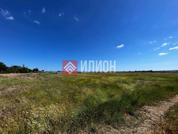 
  Продается земельный участок 6 соток. Фото 4.