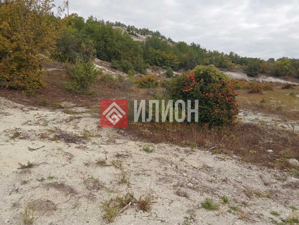 
  Продается земельный участок 6 соток. Фото 9.