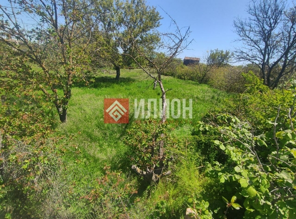 
  Продается земельный участок 4.2 сотки. Фото 3.