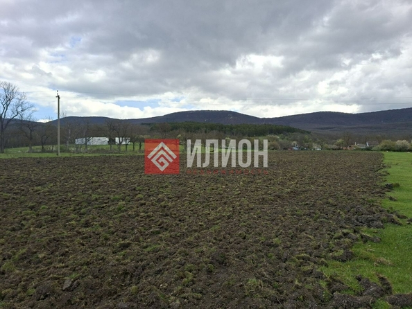
  Продается земельный участок 190 соток. Фото 2.