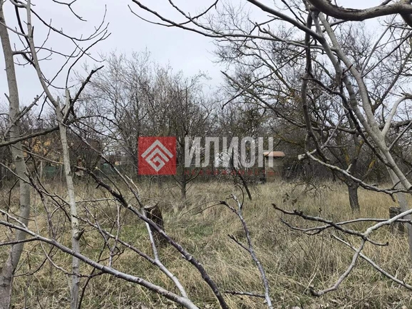 
  Продается земельный участок 8 соток. Фото 3.