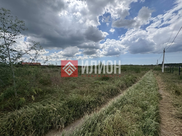 
  Продается земельный участок 20 соток. Фото 5.