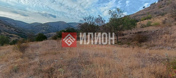 
  Продается земельный участок 25 соток. Фото 6.