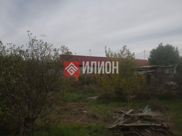 
  Продается земельный участок 24 сотки. Фото 4.