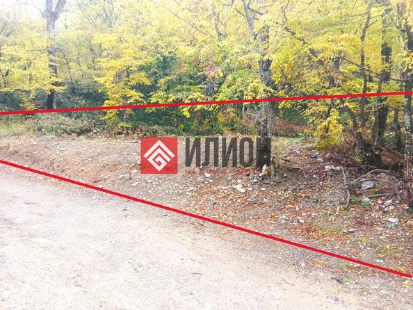 
  Продается земельный участок 12 соток. Фото 3.