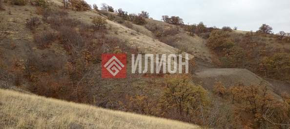 
  Продается земельный участок 9 соток. Фото 4.