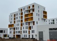Горизонты: Ход строительства 30 января 2026